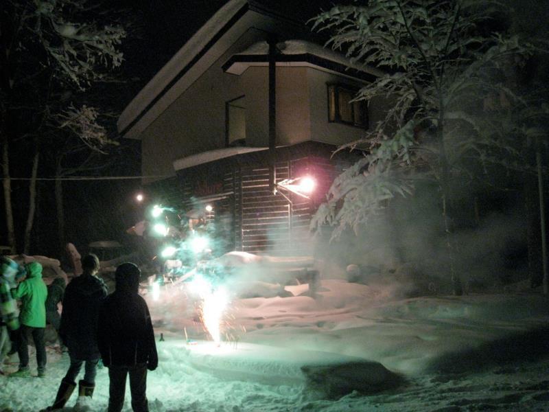 Alpine Lodge 白馬村 エクステリア 写真
