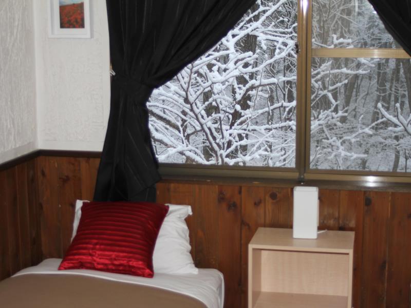 Alpine Lodge 白馬村 エクステリア 写真